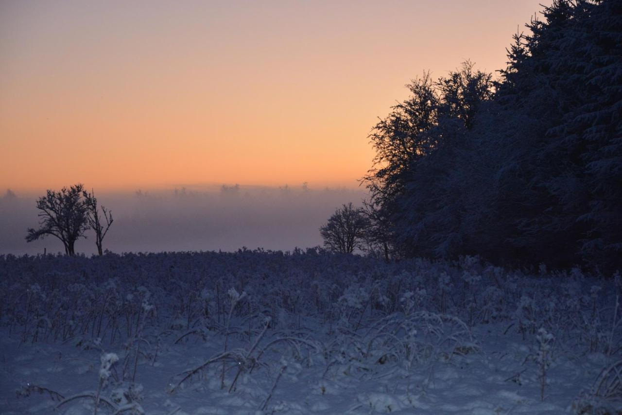 Gunneruphus Bed & Breakfast Herning Bagian luar foto